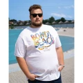 duza koszulka dla panow plus size