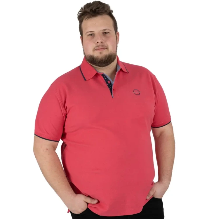 modna stylowa koszulka polo meska 4xl