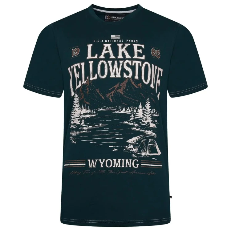 t-shirt plus size