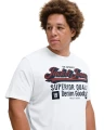 t-shirt plus size
