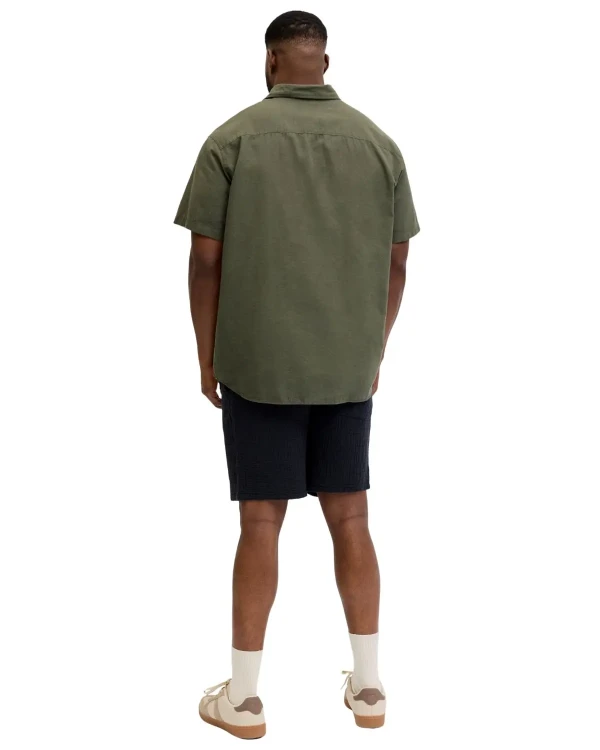 koszula plus size