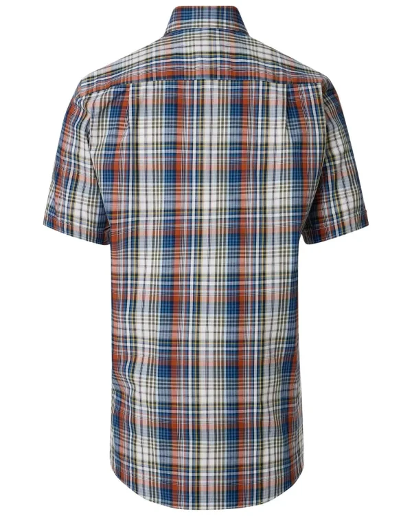 koszula plus size