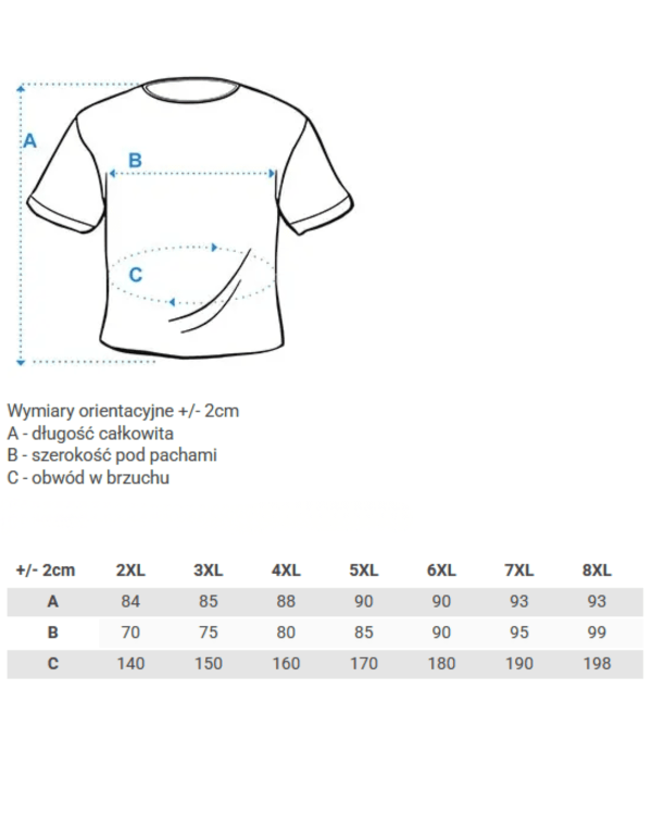 tabela wymiarow t-shirta plus size