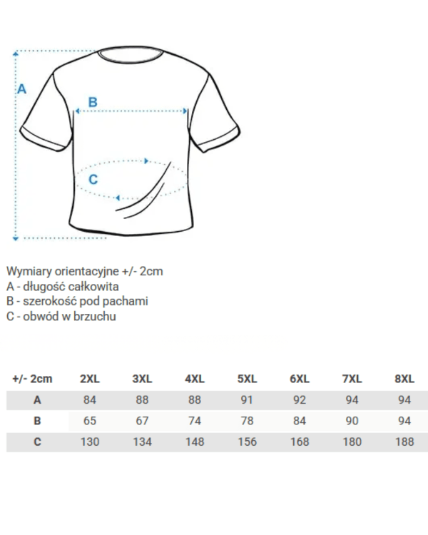 tabelka rozmiarow  męskiej koszulki plus size