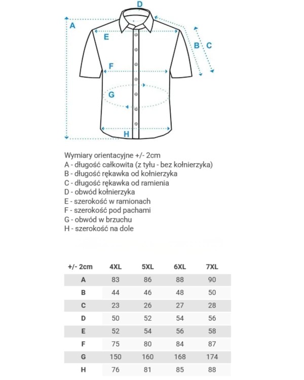 tabela rozmiarow jak dobrac odpowiednio odziez plus size