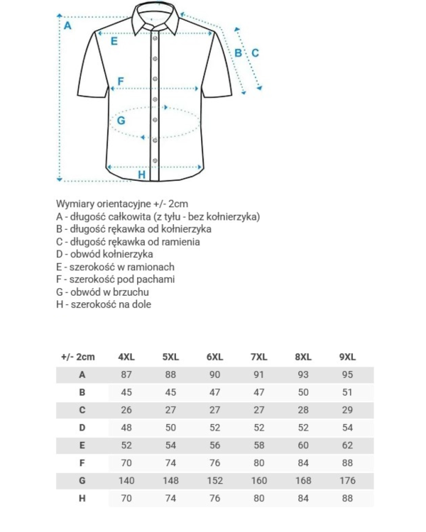 koszula z krotkim rekawem xxl