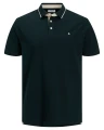 ciemnozielona koszulka polo xxl