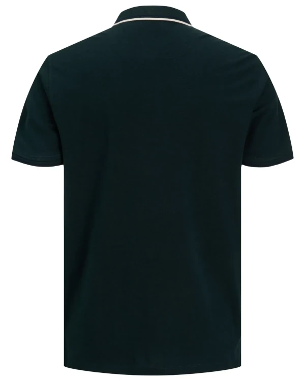 koszulka polo plus size