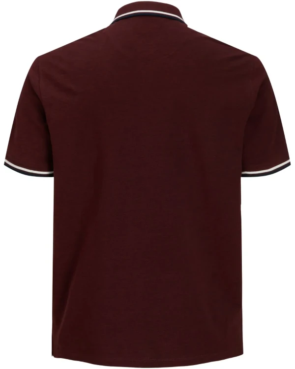 koszulka xxl polo